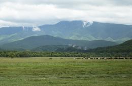 27.02.2024 Приморье – лидер по выдаче «гектаров» на Дальнем Востоке | Администрация муниципального округа город Партизанск Приморского края Официальный сайт