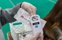 19.12.2025 Найти собаку, испуганную новогодним салютом, приморцам поможет чип. ПАМЯТКА  | Администрация муниципального округа город Партизанск Приморского края Официальный сайт