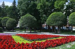 18.01.2024 Приморский край-активный участник федерального конкурса благоустройства городов | Администрация муниципального округа город Партизанск Приморского края Официальный сайт