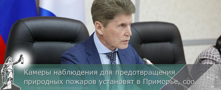 Камеры наблюдения для предотвращения природных пожаров установят в Приморье, сообщает www.primorsky.ru | Администрация муниципального округа город Партизанск Приморского края Официальный сайт