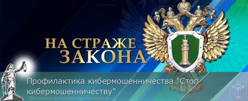 Профилактика кибермошенничества "Стоп кибермошенничеству" | Администрация муниципального округа город Партизанск Приморского края Официальный сайт