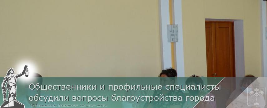 Общественники и профильные специалисты обсудили вопросы благоустройства города | Администрация муниципального округа город Партизанск Приморского края Официальный сайт
