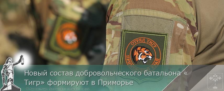 Новый состав добровольческого батальона «Тигр» формируют в Приморье | Администрация муниципального округа город Партизанск Приморского края Официальный сайт