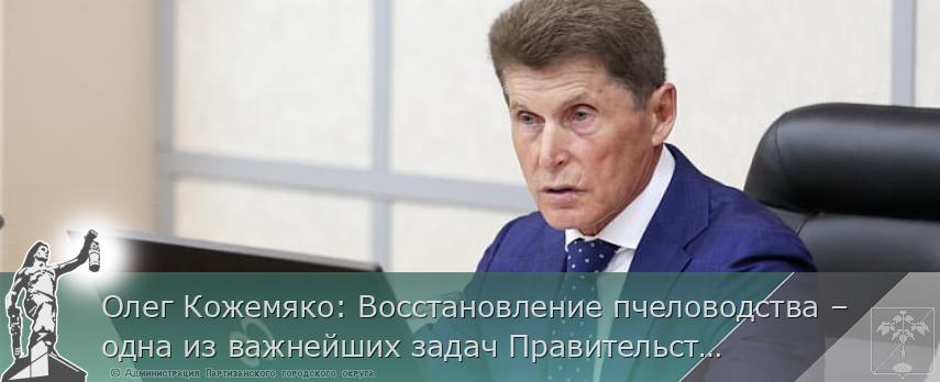 Олег Кожемяко: Восстановление пчеловодства – одна из важнейших задач Правительства края