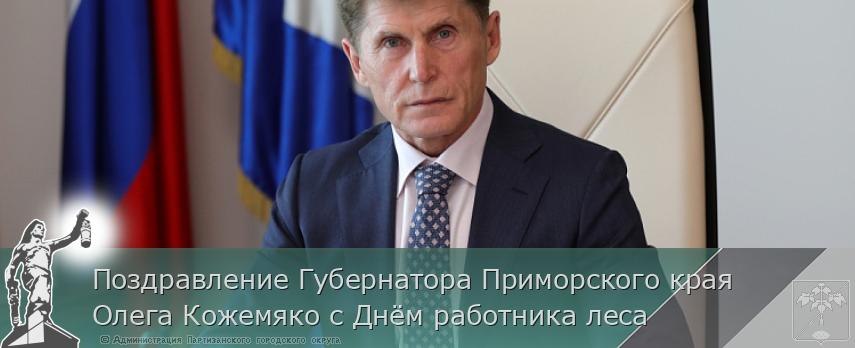 Поздравление Губернатора Приморского края Олега Кожемяко с Днём работника леса | Администрация муниципального округа город Партизанск Приморского края Официальный сайт Поздравление Губернатора Приморского края Олега Кожемяко с Днём работника леса | Администрация муниципального округа город Партизанск Приморского края Официальный сайт
