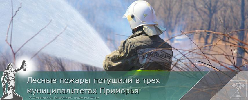 Лесные пожары потушили в трех муниципалитетах Приморья | Администрация муниципального округа город Партизанск Приморского края Официальный сайт Лесные пожары потушили в трех муниципалитетах Приморья | Администрация муниципального округа город Партизанск Приморского края Официальный сайт