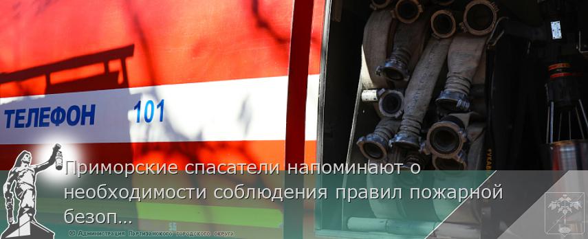 Приморские спасатели напоминают о необходимости соблюдения правил пожарной безопасности. ПАМЯТКА | Администрация муниципального округа город Партизанск Приморского края Официальный сайт Приморские спасатели напоминают о необходимости соблюдения правил пожарной безопасности. ПАМЯТКА | Администрация муниципального округа город Партизанск Приморского края Официальный сайт