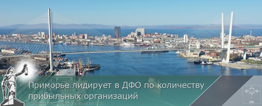 Приморье лидирует в ДФО по количеству прибыльных организаций | Администрация муниципального округа город Партизанск Приморского края Официальный сайт