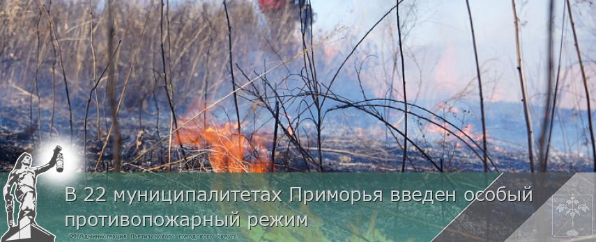 В 22 муниципалитетах Приморья введен особый противопожарный режим | Администрация муниципального округа город Партизанск Приморского края Официальный сайт В 22 муниципалитетах Приморья введен особый противопожарный режим | Администрация муниципального округа город Партизанск Приморского края Официальный сайт