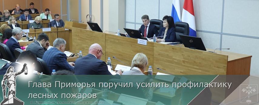 Глава Приморья поручил усилить профилактику лесных пожаров | Администрация муниципального округа город Партизанск Приморского края Официальный сайт Глава Приморья поручил усилить профилактику лесных пожаров | Администрация муниципального округа город Партизанск Приморского края Официальный сайт