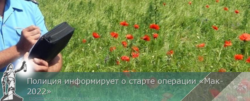 Полиция информирует о старте операции «Мак-2022»
