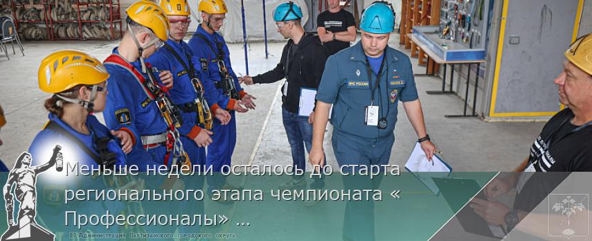 Меньше недели осталось до старта регионального этапа чемпионата «Профессионалы» в Приморье | Администрация муниципального округа город Партизанск Приморского края Официальный сайт