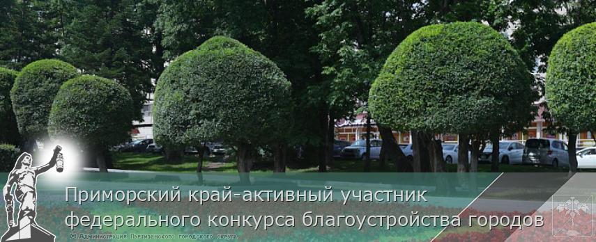 Приморский край-активный участник федерального конкурса благоустройства городов | Администрация муниципального округа город Партизанск Приморского края Официальный сайт