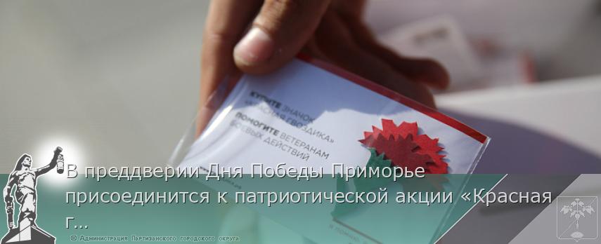 В преддверии Дня Победы Приморье присоединится к патриотической акции «Красная гвоздика» | Администрация муниципального округа город Партизанск Приморского края Официальный сайт В преддверии Дня Победы Приморье присоединится к патриотической акции «Красная гвоздика» | Администрация муниципального округа город Партизанск Приморского края Официальный сайт