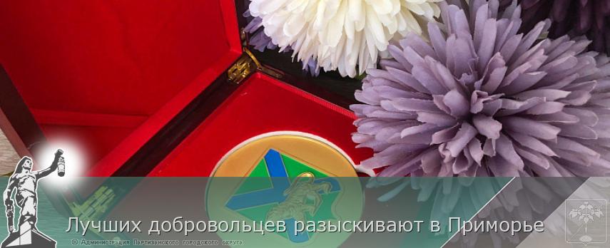 Лучших добровольцев разыскивают в Приморье | Администрация муниципального округа город Партизанск Приморского края Официальный сайт Лучших добровольцев разыскивают в Приморье | Администрация муниципального округа город Партизанск Приморского края Официальный сайт