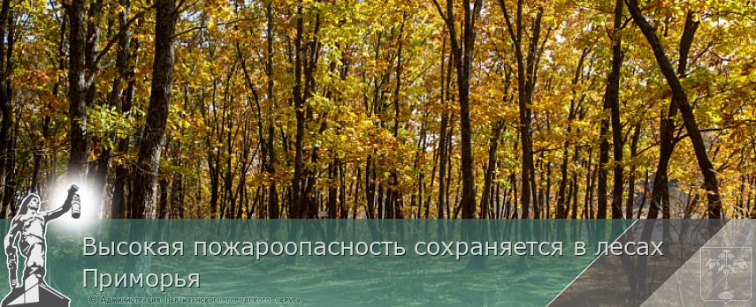Высокая пожароопасность сохраняется в лесах Приморья | Администрация муниципального округа город Партизанск Приморского края Официальный сайт