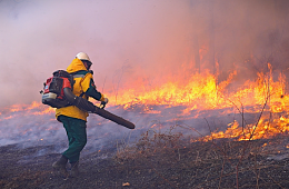 22.10.2026  От штрафа до уголовного дела: что грозит за лесные пожары в Приморье. ПАМЯТКА | Администрация муниципального округа город Партизанск Приморского края Официальный сайт